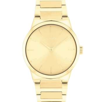 Women Calvin Klein Linear Elegance Analogue Watch 25100077