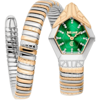 Just Cavalli Watch - JC1L358M0075 for Female Bottle green in Stainless Steel